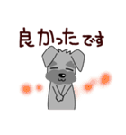 ずーっと使える シュナウザー♪（個別スタンプ：28）