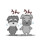 ずーっと使える シュナウザー♪（個別スタンプ：33）