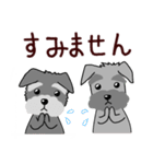 ずーっと使える シュナウザー♪（個別スタンプ：36）