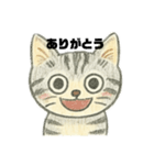 ネコの感情。（個別スタンプ：1）
