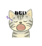 ネコの感情。（個別スタンプ：8）