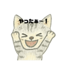 ネコの感情。（個別スタンプ：14）