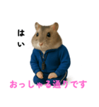 ぷくちゃん先生（個別スタンプ：3）