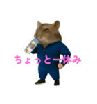 ぷくちゃん先生（個別スタンプ：15）