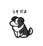 いつでも使えるボーダーコリー（白黒）（個別スタンプ：12）