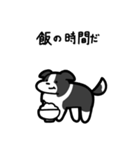 いつでも使えるボーダーコリー（白黒）（個別スタンプ：21）