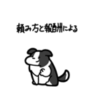 いつでも使えるボーダーコリー（白黒）（個別スタンプ：28）