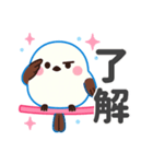 シマエナガの「しまりん」（個別スタンプ：15）