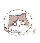 ラグドールのラグにゃん ～セリフなし～（個別スタンプ：19）