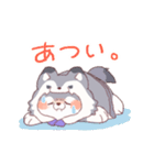 【夏】オオカミ！パーカー動物（個別スタンプ：40）
