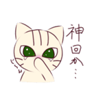 キザにゃん。夏から秋にかけて（個別スタンプ：28）