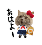 くぅ王子ちゃんスタンプ3（個別スタンプ：1）