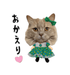 くぅ王子ちゃんスタンプ3（個別スタンプ：7）