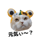 くぅ王子ちゃんスタンプ3（個別スタンプ：10）