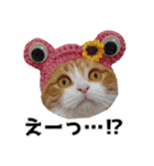 くぅ王子ちゃんスタンプ3（個別スタンプ：12）