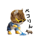 くぅ王子ちゃんスタンプ3（個別スタンプ：13）