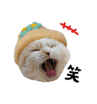 くぅ王子ちゃんスタンプ3（個別スタンプ：18）