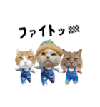 くぅ王子ちゃんスタンプ3（個別スタンプ：23）