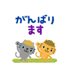 絵本みたいな[飛び出す]夏のちびねこ（個別スタンプ：13）