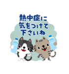 絵本みたいな[飛び出す]夏のちびねこ（個別スタンプ：17）
