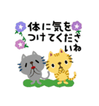 絵本みたいな[飛び出す]夏のちびねこ（個別スタンプ：18）