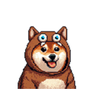 モンスターな太っちょ柴犬 カラフル（個別スタンプ：11）
