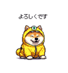 モンスターな太っちょ柴犬 カラフル（個別スタンプ：26）