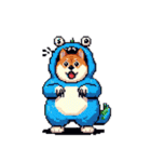 モンスターな太っちょ柴犬 カラフル（個別スタンプ：36）