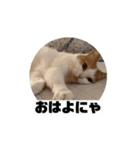 もんtheスタンプ（個別スタンプ：1）