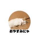 もんtheスタンプ（個別スタンプ：2）