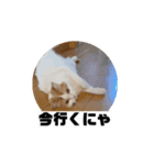 もんtheスタンプ（個別スタンプ：3）