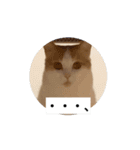 もんtheスタンプ（個別スタンプ：6）