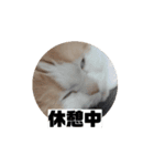 もんtheスタンプ（個別スタンプ：9）