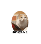 もんtheスタンプ（個別スタンプ：10）