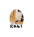 もんtheスタンプ（個別スタンプ：11）