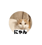 もんtheスタンプ（個別スタンプ：12）