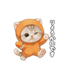 動く！スコティッシュ猫 可愛い みかんネコ（個別スタンプ：5）
