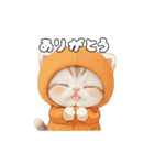 動く！スコティッシュ猫 可愛い みかんネコ（個別スタンプ：9）