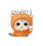 動く！スコティッシュ猫 可愛い みかんネコ（個別スタンプ：13）