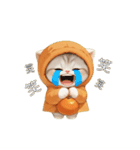 動く！スコティッシュ猫 可愛い みかんネコ（個別スタンプ：18）