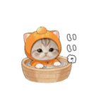 動く！スコティッシュ猫 可愛い みかんネコ（個別スタンプ：20）