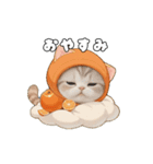 動く！スコティッシュ猫 可愛い みかんネコ（個別スタンプ：24）
