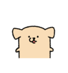 田舎の犬. チョング: 夏の暮らし（個別スタンプ：13）