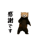 動く！レッサーパンダ（個別スタンプ：7）