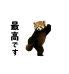 動く！レッサーパンダ（個別スタンプ：22）