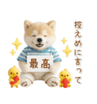 ポジティブな癒ししばいぬ（個別スタンプ：5）