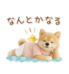ポジティブな癒ししばいぬ（個別スタンプ：7）