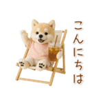ポジティブな癒ししばいぬ（個別スタンプ：10）