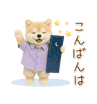 ポジティブな癒ししばいぬ（個別スタンプ：11）