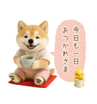 ポジティブな癒ししばいぬ（個別スタンプ：24）